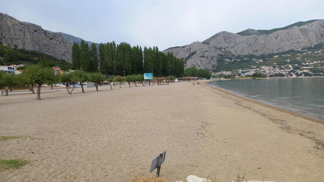 Bugenvilija Дуче Екстер'єр фото